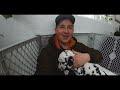 Meet Lolly | Dalmatian Puppy's First Day Home