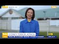 Fairfield community still reeling from alleged terror attack | 9 News Australia