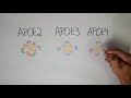 APOE4 | APOE4 versus APOE3