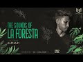 THE SOUNDS OF LA FORESTA EP02 - ALPHA21