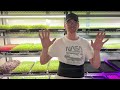 Tactical Microgreens Farming - Permaculture | Homesteading | Prepping | Food Security | Shortages
