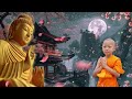 Chân Lý Sâu Sắc của Thiền Đạo: Hướng Dẫn Theo Lời Phật Dạy về Con Đường Thiên Đạo