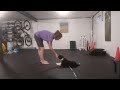 Sofie obedience - down on cue and intro to wait