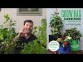 6 Secret Grow Bag Techniques to Maximize Your Results