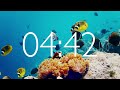 15 Minute Timer with Relaxing Music and Alarm