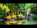 Healing Music for Anxiety Disorders , Stress and Chronic Fatigue | Relaxing Zen Music, Nature