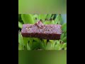 Ruby and Sapphire Corundum Tips North Carolina Propst Farm 2021 Digging Gems Lapadary Grade
