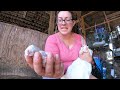 Raising Meat Rabbits (Part Two): Preparing For and Caring For Baby Bunnies (Kits)