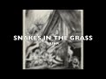 SNAKES IN THE GRASS - SASHA