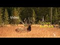 2017 Montana Archery Season - Elk