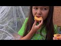 Harvesting Peaches - Backyard Fruit Tree | Pinay in Australia