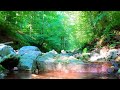 Melodious Relaxing Music 🌿 Soothing Piano Music 🌿 Relaxing Piano Music Relief with Ambient Nature