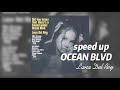 lana del rey-did you know that there’s a tunnel under ocean blvd (speed up)