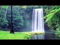 Nature sounds-Birds Singing-Relaxation-Forest Birdsinging Relaxing Meditation-Waterfall-Piano Music