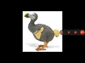 Dodo Bird Sound Effects