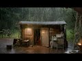 Beat insomnia with powerful rain and thunder on a tin roof in a jungle hut
