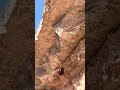 ODD THING UNDER THE ROCKS (MUST WATCH!!!!!)