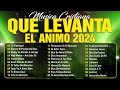 Musica Cristiana Para Sentir La Presencia de Dios 🙏 Hermosas Alabanzas Cristianas De Adoracion 2024