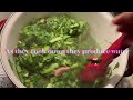 How to cook mustard greens