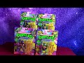 Teenage Mutant Ninja Turtles Classic Reissue Action Figures - The Best Carding (Walmart)