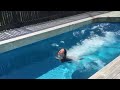Agent takes a plunge!
