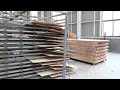 How To Make Plywood Complete Plywood Production Line #plywoodmachine #woodworkingmachine