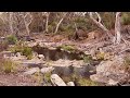 Creek Waterfalls and Rock Pools March 2024