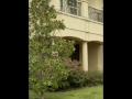 www.DFWHomes4Sell.com - Luxury Home Tour - Frisco, Texas including Plano, Allen & surrounding areas