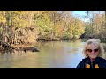 Video Tour of Manatee Springs State Park in FL