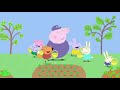 Peppa Pig Wutz Neue Folgen | Baby Alexander | Peppa Pig Deutsch Neue Folgen | Cartoons für Kinder