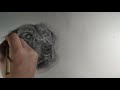 Realistic dog drawing time lapse