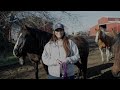 How to Halter a Horse (properly tie a rope halter)