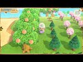 Fairycore/Animal Crossing New Horizons/Entrance Build