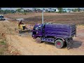 Wonderful Extreme Power: Komatsu Dozer D31A Making New Road with Dump Truck
