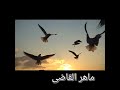 ❤️یا حمام المدینه سلم علی نبینا لاتنسوا الاعجاب بالفیدیو والاشتراک بالقناه