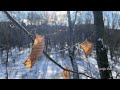 Лісовий струмок взимку. Україна. Київщина@Forest stream in winter.  Ukraine. Kyiv region