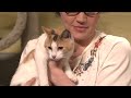 Pet Rescue Commercial - Saturday Night Live