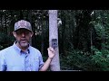 Stealth Cam trail camera review!  ** BEST BANG FOR THE BUCK? **