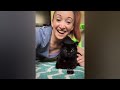 Funniest 2024😺Cats and 🥒 Cucumbers - Awesome Funny Pet Videos 😿🐶