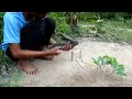Creative Bird Trap - Minute Experiment Bird Trap Make From Bamboo Vs Wood Vs Rubber