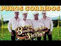 Los Benitez de la Sierra Mix Exitos - Lo más Picudo de la Sierra - Corridos y Rancheras Mix