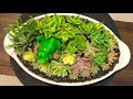 Dining Table Centerpiece Succulent Arrangement