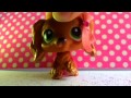 LPS: Boom Clap (The Fault In Our Stars)