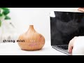 The Best Budget Essential Oil Diffuser Reveal