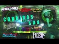 Conjunto Agua Azul , Conjunto Rio Grande ,Los Norteños De Ojinaga , Los Márineros 🤠 Corridos Con Sax