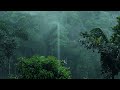 rainforest Rain Sounds for Sleeping and Studying