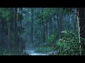 Rain forest. ☔️ Deep Focus 🌳 Study/Work [Lofi chill - Lofi hip-hop]