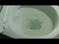 CLOGGED TOILET FIX using homemade clog remover #Howtounclogtoilet #Howtocleantoilet #toiletbowl #How