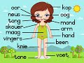 body parts in afrikaans or Dutch