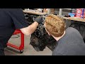 BMW E36 S52 Teardown